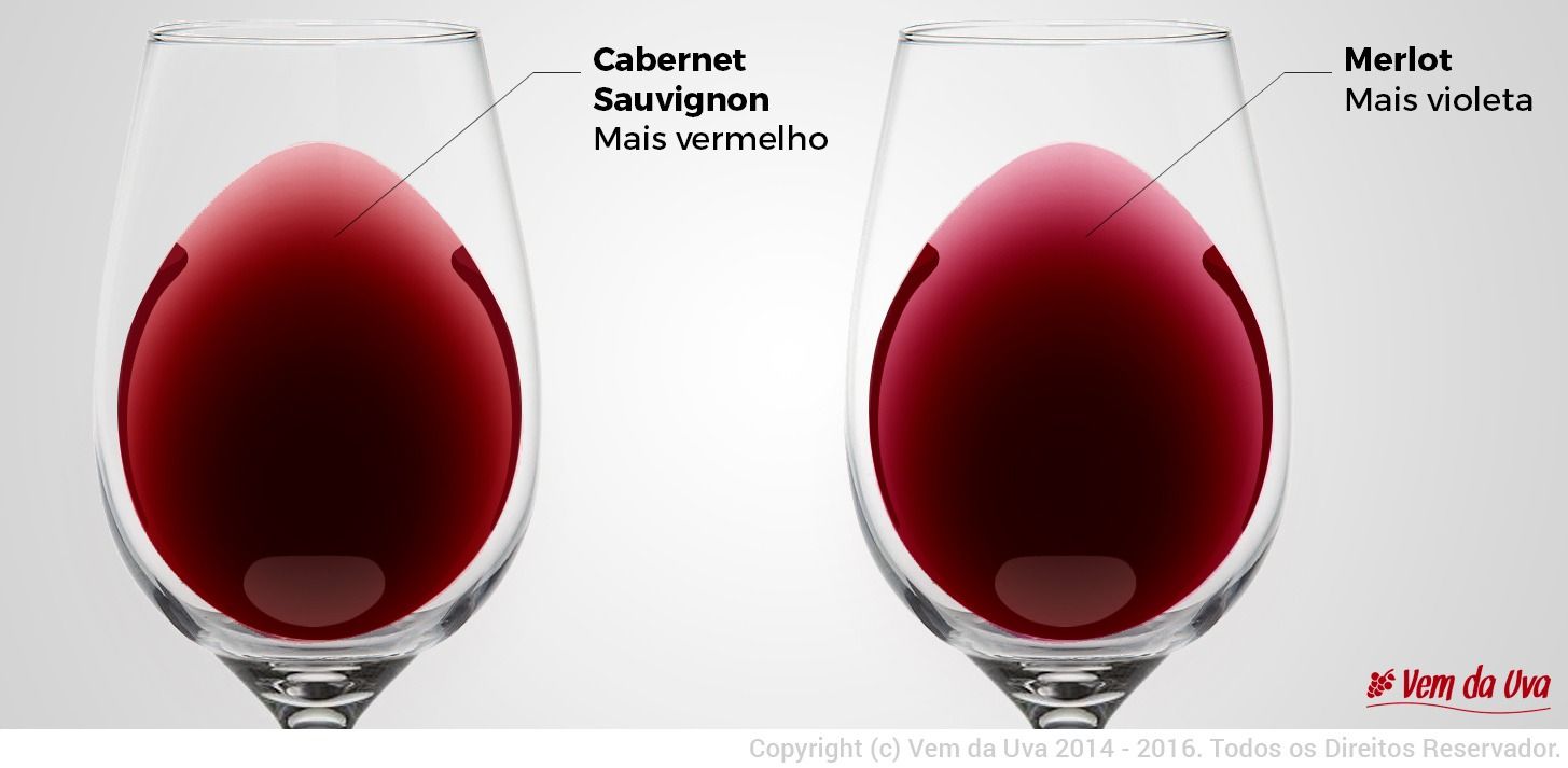 Resultado de imagem para diferenças vinho cabernet e merlot